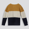 Boys Crewneck Jumper Ochre