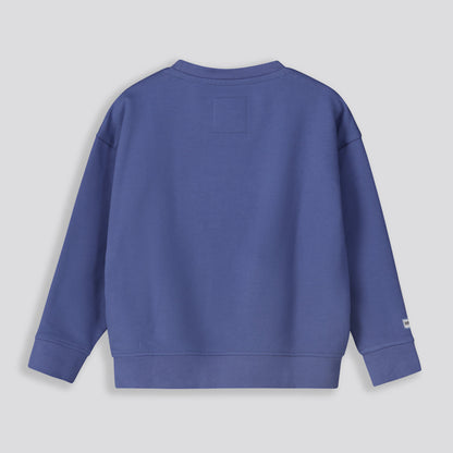 Boys Sweat Top Blue